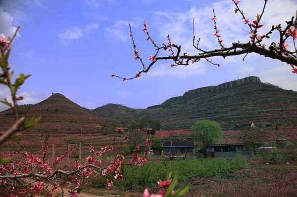 岱崮地貌,岱崮地貌的简介