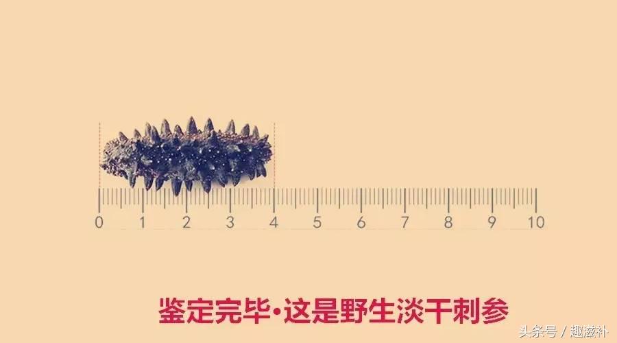 自己泡发的海参要煮多久,泡发海参的感受