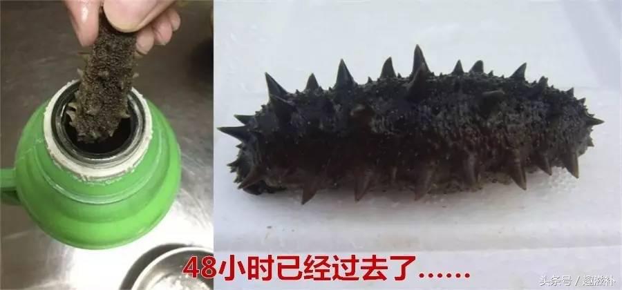 自己泡发的海参要煮多久,泡发海参的感受