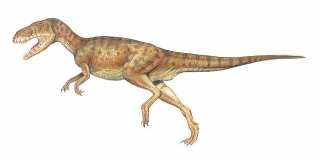 科学家发现恐龙蛋化石,科学家们发现了恐龙的证据