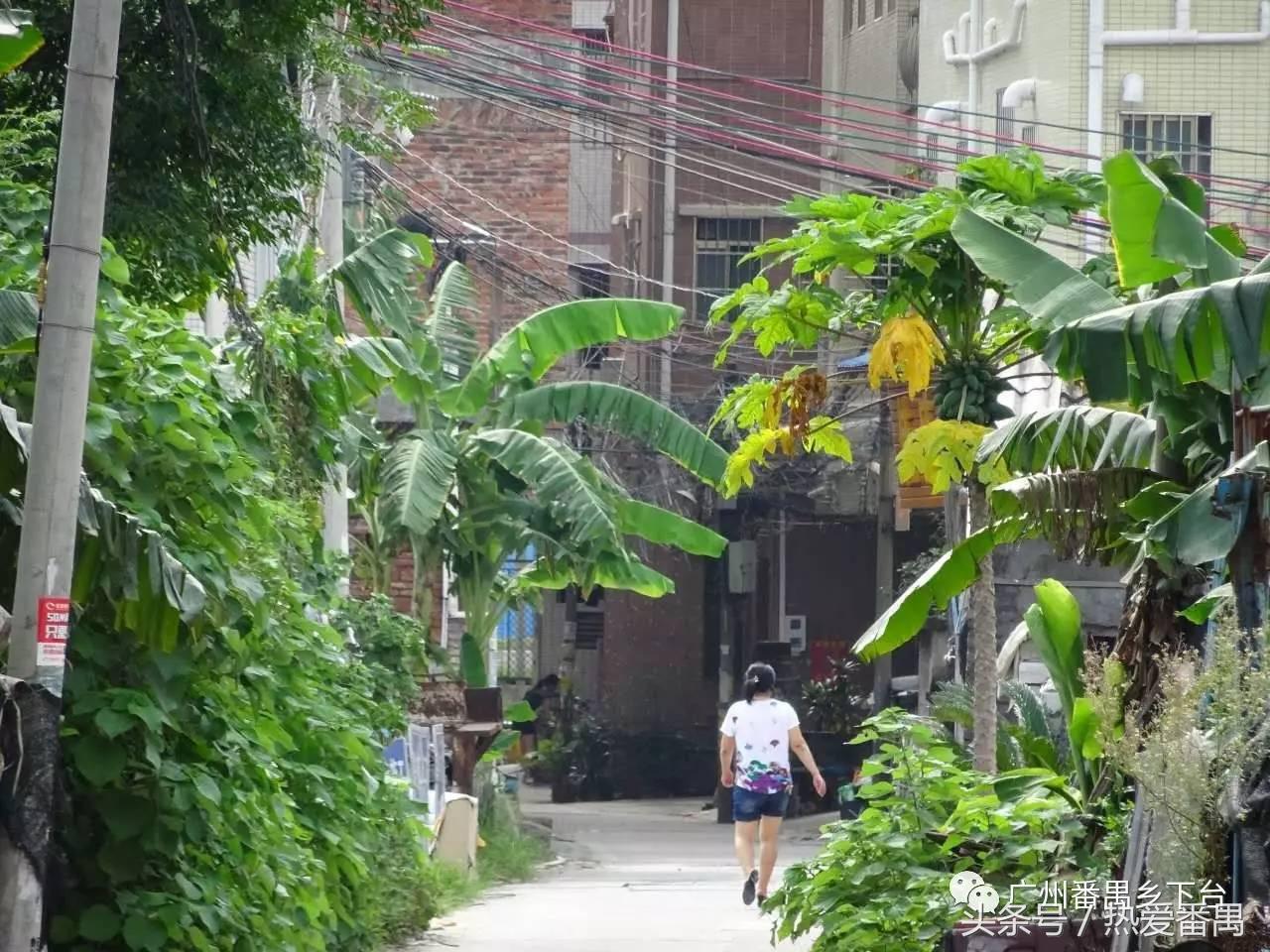 洛溪大桥为啥有个名字,洛溪大桥为什么叫洛溪大桥