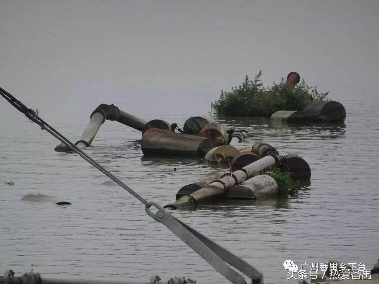 洛溪大桥为啥有个名字,洛溪大桥为什么叫洛溪大桥