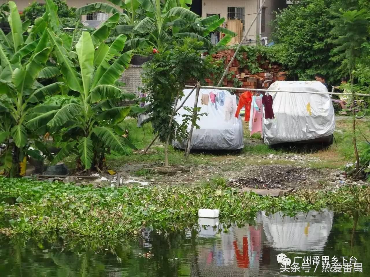 洛溪大桥为啥有个名字,洛溪大桥为什么叫洛溪大桥