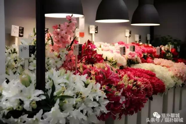 带聊城网友提前感受济南宜家的魅力，不仅人多购买力也爆棚