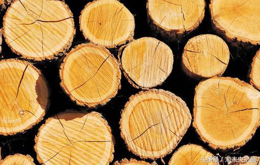 实木家具质量问题及解决方法,实木家具味道太大该怎么办