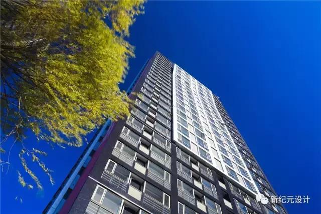 newera涓紡璁捐,newera璁捐