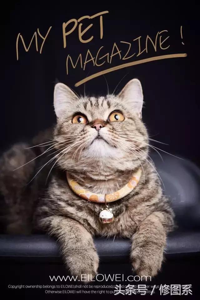 修图师会用哪些修图软件,修图师都用ps么