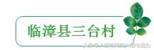 邯郸十大美丽乡村是哪,邯郸十大最美乡村