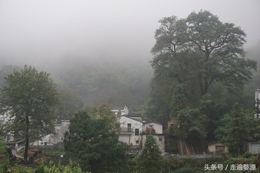 婺源千年茶乡,中国最美乡村婺源有什么美食