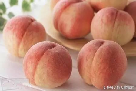 最适合女性的养颜食品，一种美味水果