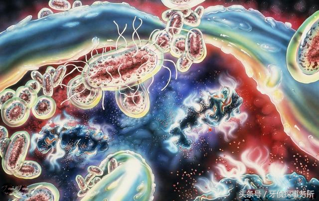 牙龈牙齿骨肉分离,牙齿与牙龈分离是怎么解决