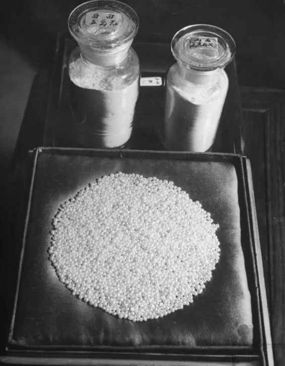 民国时期中药店，敢养这个动物，药店老板胆子太大了！