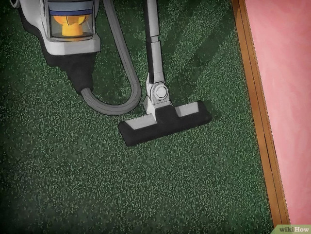 如何清除床虱,广东床虱怎么清除