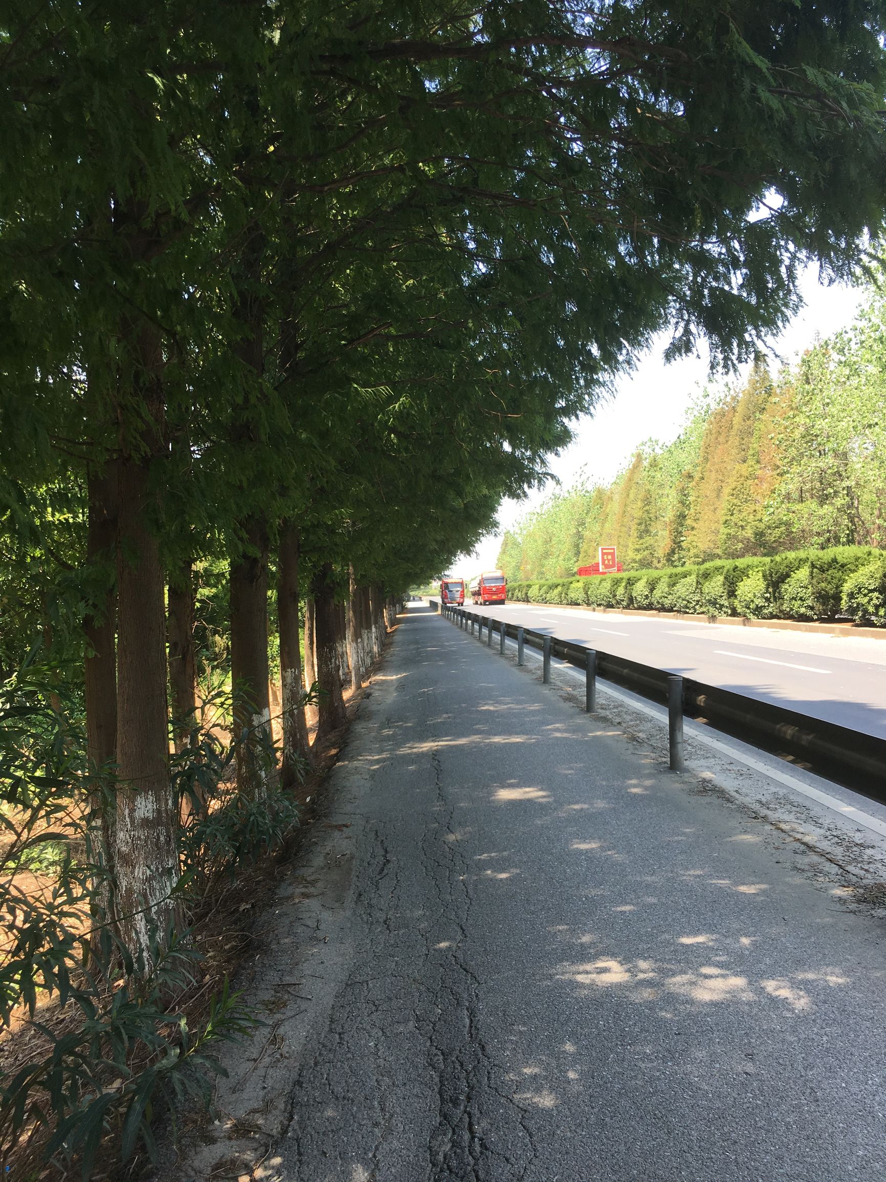 旅行第132天，重头理解旅游和旅行的区别，发现自己很可笑