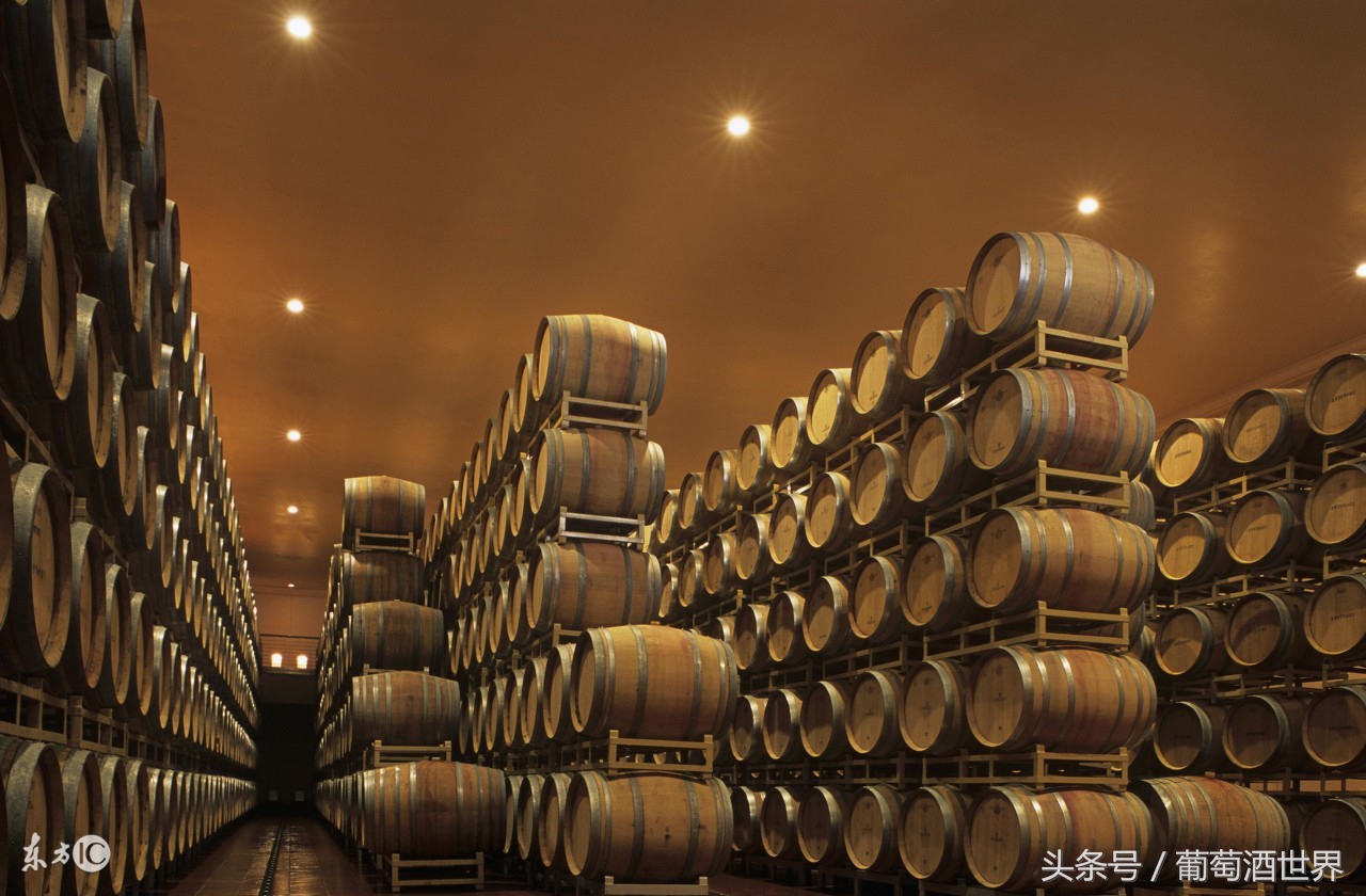 黄尾袋鼠酒庄介绍怎么写,黄尾袋鼠酒庄设拉子红葡萄酒