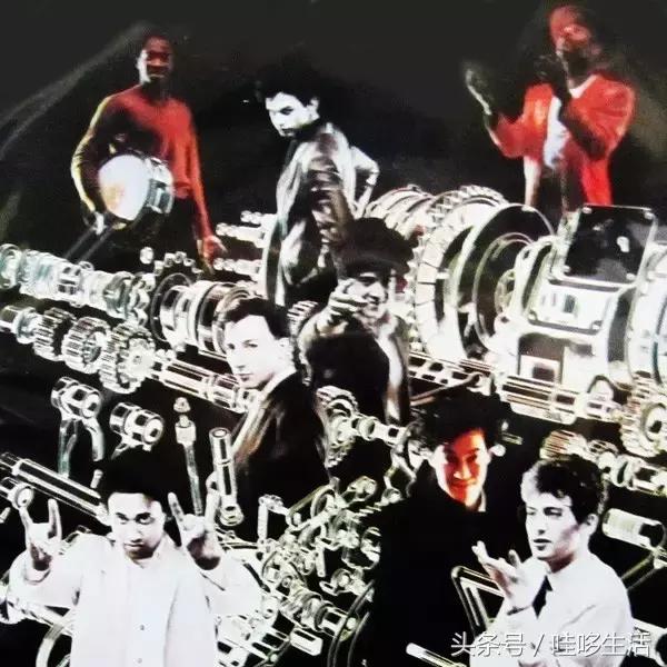 帅气台风贝斯,贝斯帅气