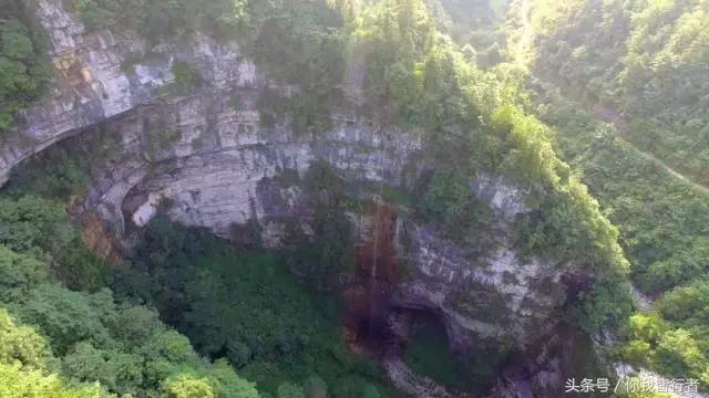 在深达数百米的天坑，大熊猫曾经到此一游
