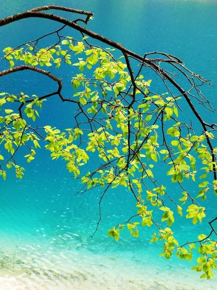 金山岭长城最美时间,金山岭长城风景哪段最美