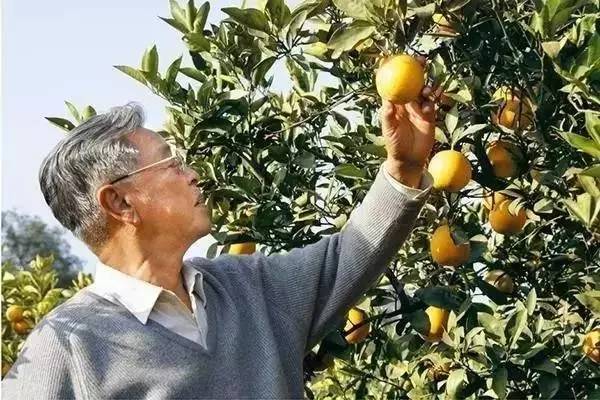 真正的企业家，靠什么引领三军打天下？（12个细节视察）