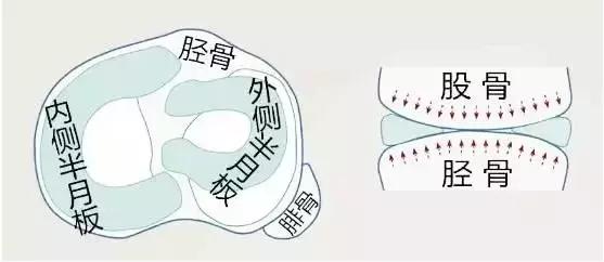 半月板左侧前角损伤最佳锻炼方法,膝关节半月板损伤2-3度怎样锻炼好