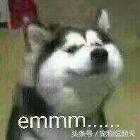 猫咪肠胃炎症状和治疗,猫咪肠胃炎医院会给输什么药水