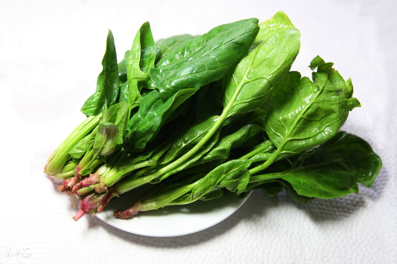 低血压能吃菠菜吗低血压要如何饮食