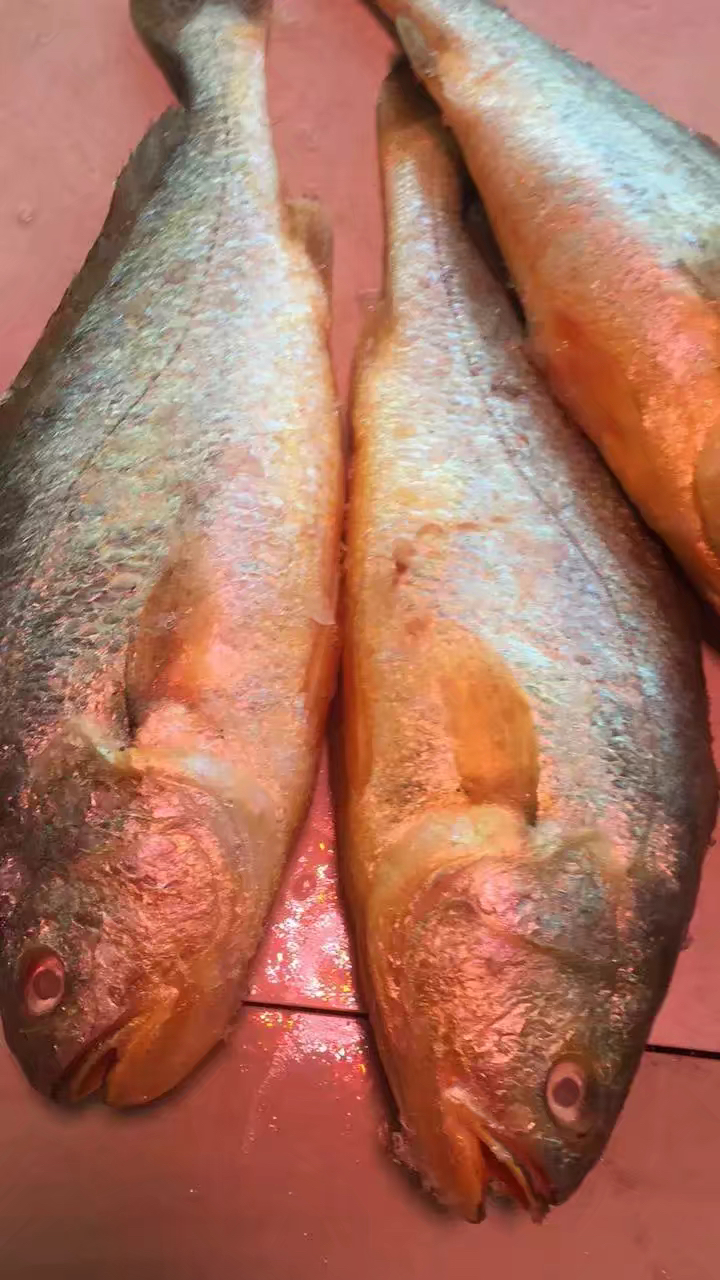 揭秘黄花鱼用“福尔马林”浸泡保鲜是真的吗