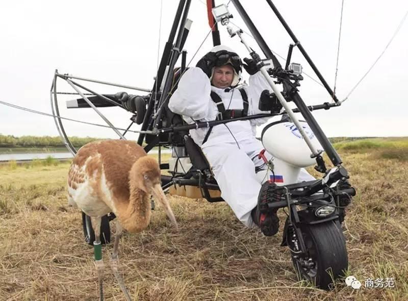 普京戴朗格手表,普京常戴的手表