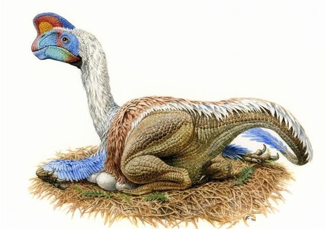 科学家发现恐龙蛋化石,科学家们发现了恐龙的证据