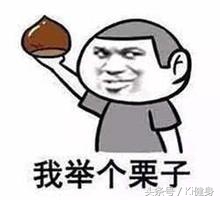 小腿血管解剖,小腿解剖3d动图