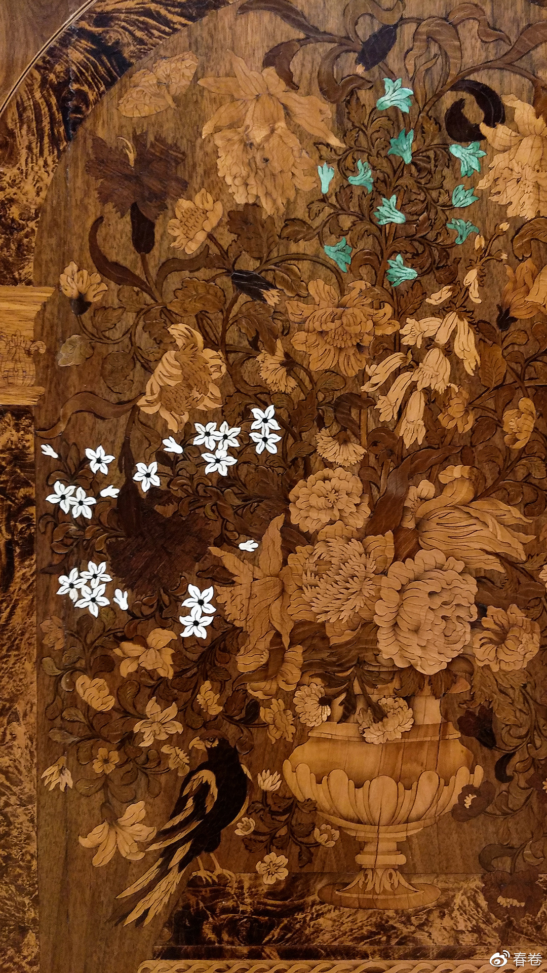 vivoxplay6拍照样张,vivoxplay6图片及参数