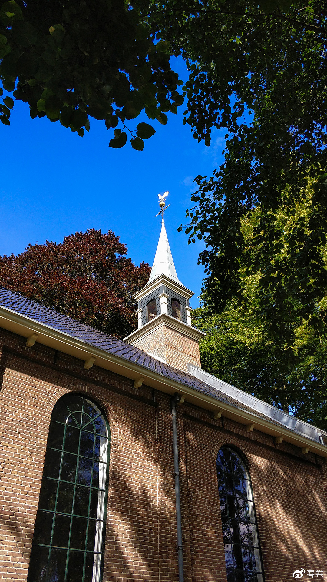 vivoxplay6拍照样张,vivoxplay6图片及参数