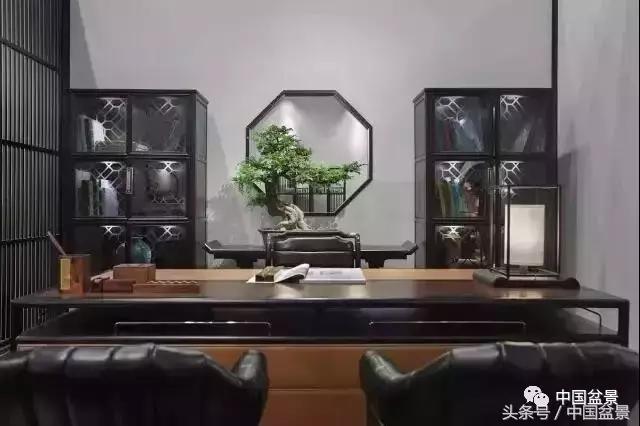 盆景的意境之美,优雅的盆景