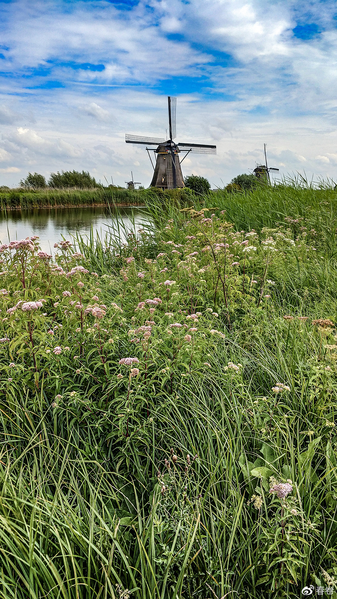 vivoxplay6拍照样张,vivoxplay6图片及参数