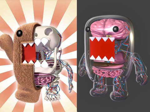 人体解剖经络穴位图,如何找到经络