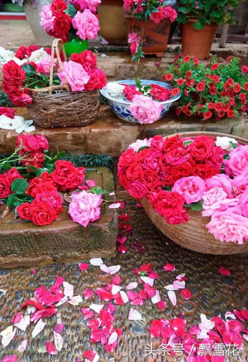 大理洱海风景杨丽萍的太阳宫,太阳宫杨丽萍酒店价格