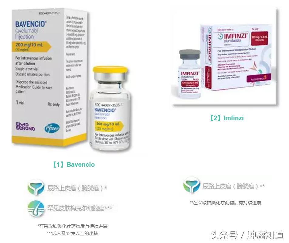 pd-1是什么制剂 (pd-1与pd-l的区别)