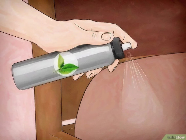 如何清除床虱,广东床虱怎么清除