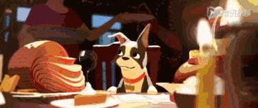 狗狗噎着吃什么可以缓解,如果狗狗卡住了还会吃得下东西吗