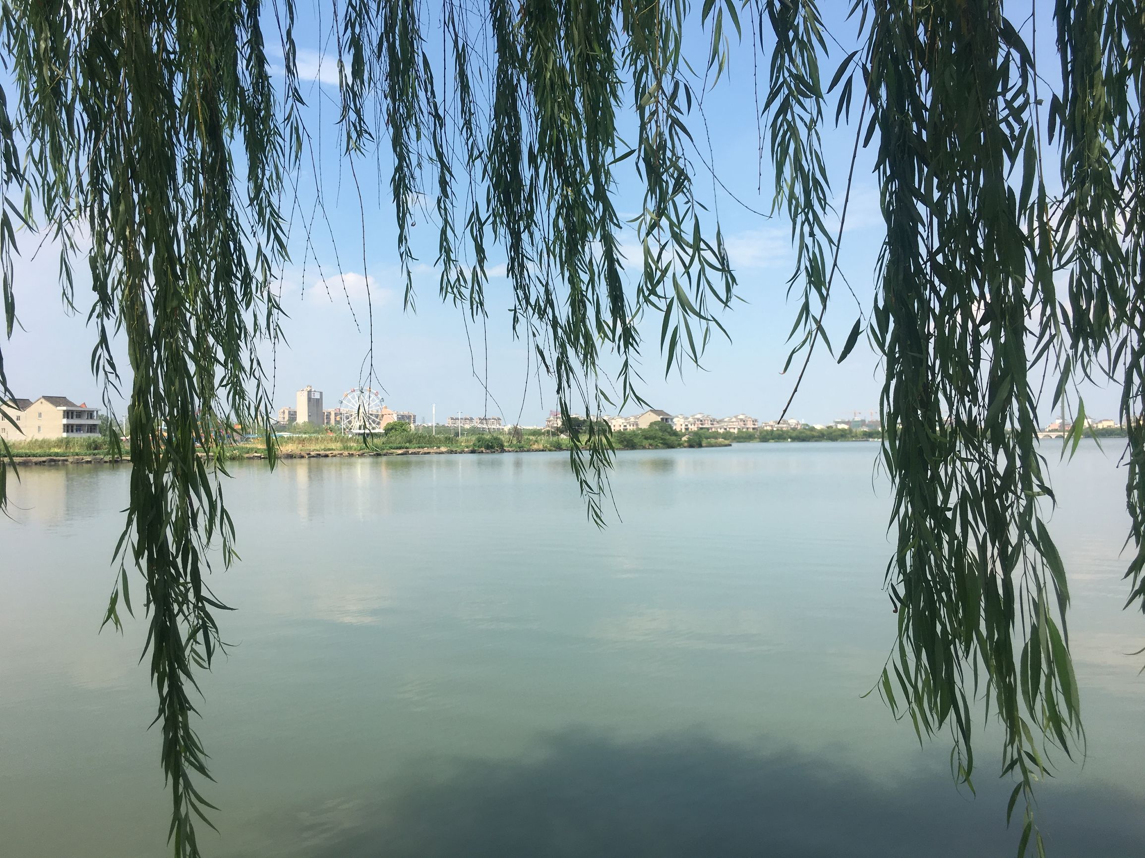 旅行第132天，重头理解旅游和旅行的区别，发现自己很可笑