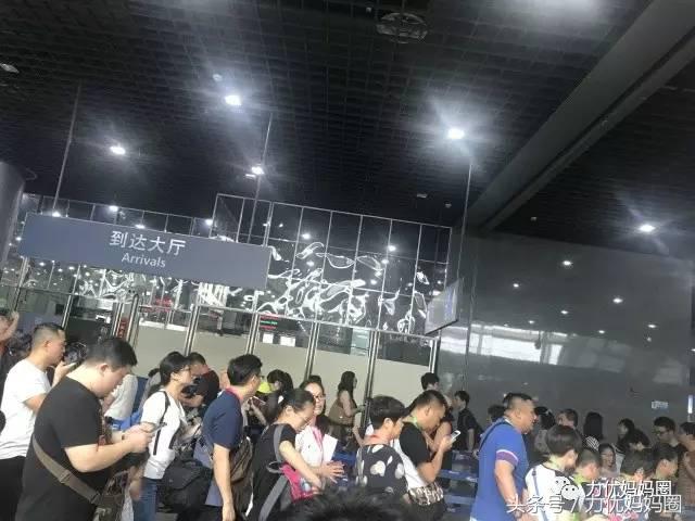 最适合亲子的邮轮游,邮轮游的优缺点