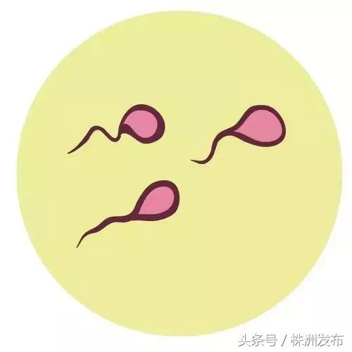 征兵体检网上显示几项不合格,征兵体检检测不合格显示什么