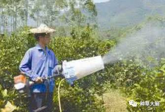 美容仪器小气泡有什么用,美容院小气泡仪器新款