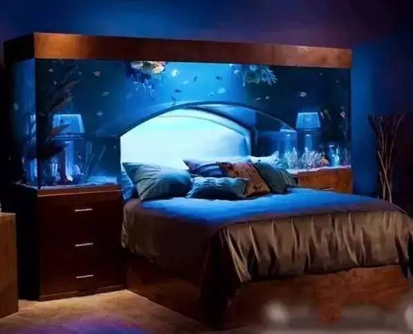 家里摆鱼缸数量有什么讲究,属马属蛇的家里怎么摆鱼缸