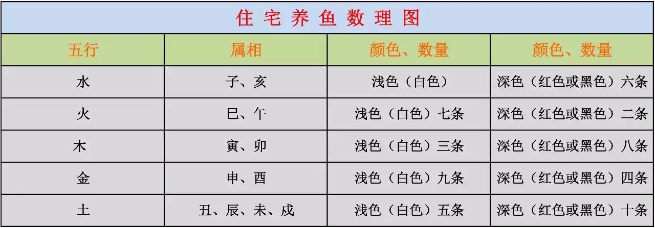 家里摆鱼缸数量有什么讲究,属马属蛇的家里怎么摆鱼缸