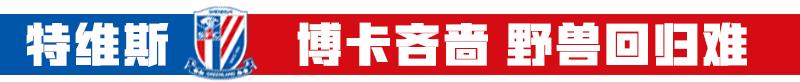 特维斯被判手球,特维斯2009年