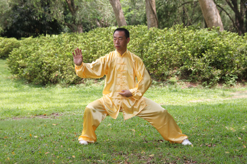 怎么提升你的武术能力,怎样提高太极内功技术