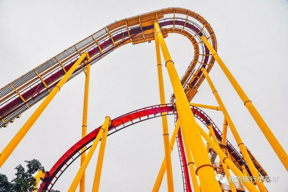 珠海长隆野生动物园旅游攻略,广州长隆自驾游旅游攻略