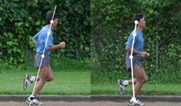 腰痛真的是腰的问题吗,原来这才是腰痛的罪魁祸首