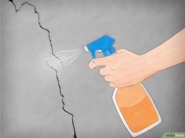 如何清除床虱,广东床虱怎么清除